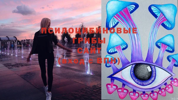 бошки Аркадак